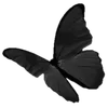 Стикер 28 ﾉ 𔓕 ᏰɭคΣк