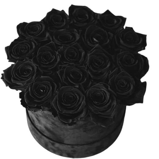 💐 Стикер «Tory» для Telegram