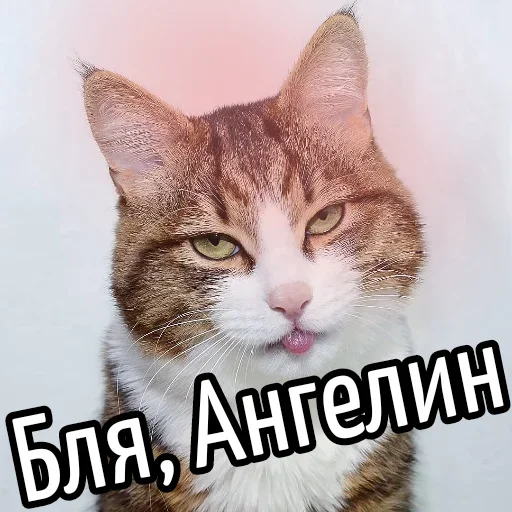 ☺️ Стикер «Ну Бля» для Telegram