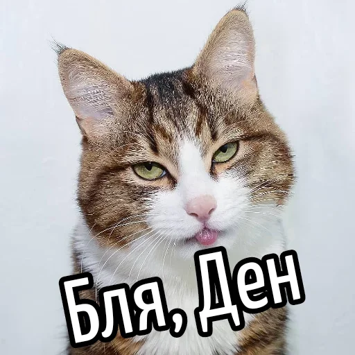 😕 Стикер «Ну Бля» для Telegram