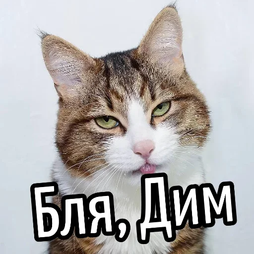 😕 Стикер «Ну Бля» для Telegram