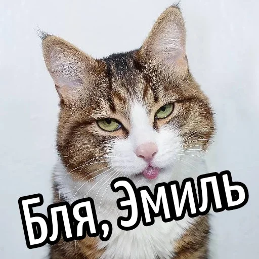 😕 Стикер «Ну Бля» для Telegram