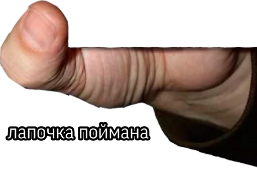 ❤️ Стикер «поймали» для Telegram