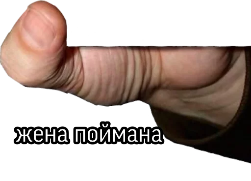 🥰 Стикер «поймали» для Telegram