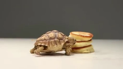 🥞 Стикер «Pancakes» для Telegram