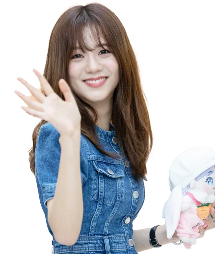 👋 Стикер «BLACKPINK» для Telegram