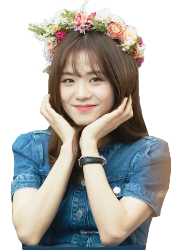 🤗 Стикер «BLACKPINK» для Telegram