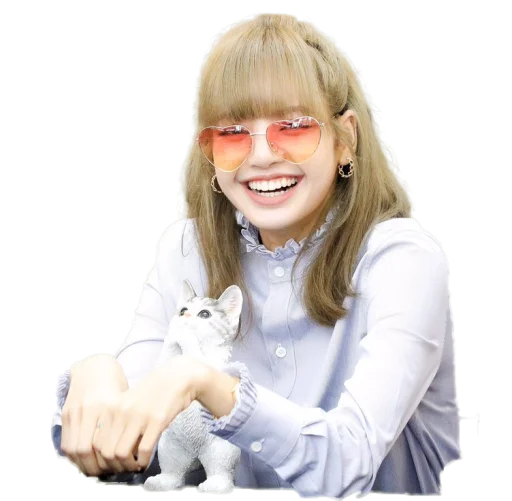 😆 Стикер «BLACKPINK» для Telegram