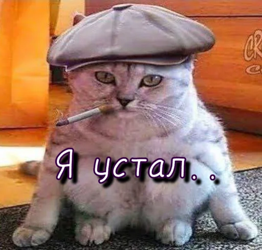 😓 Стикер «Тю блин Зверюшки» для Telegram