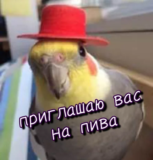 🍺 Стикер «Тю блин Зверюшки» для Telegram