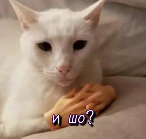 🤔 Стикер «Тю блин Зверюшки» для Telegram