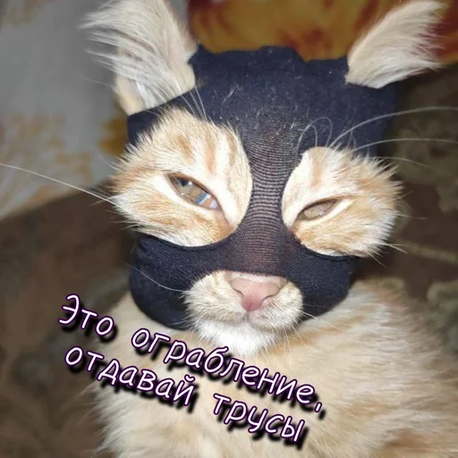😈 Стикер «Тю блин Зверюшки» для Telegram