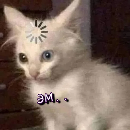 😶 Стикер «Тю блин Зверюшки» для Telegram