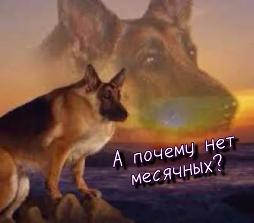 🩸 Стикер «Тю блин Зверюшки» для Telegram