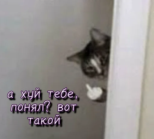 🖕 Стикер «Тю блин Зверюшки» для Telegram