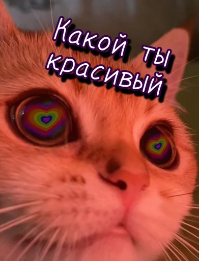 😍 Стикер «Тю блин Зверюшки» для Telegram