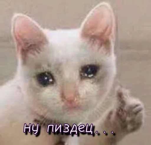 😰 Стикер «Тю блин Зверюшки» для Telegram