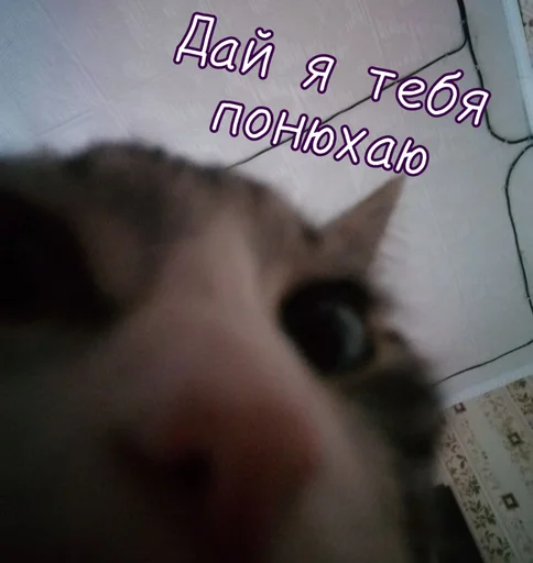 😍 Стикер «Тю блин Зверюшки» для Telegram