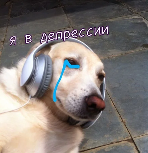 🥲 Стикер «Тю блин Зверюшки» для Telegram