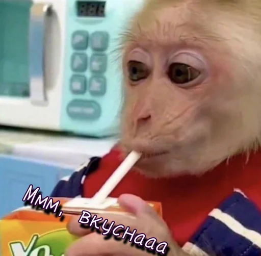 😋 Стикер «Тю блин Зверюшки» для Telegram