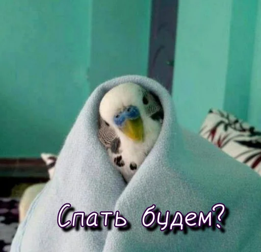 😴 Стикер «Тю блин Зверюшки» для Telegram