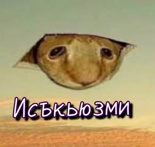 🙋‍♂️ Стикер «Тю блин Зверюшки» для Telegram