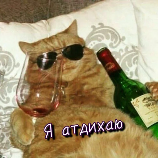 😎 Стикер «Тю блин Зверюшки» для Telegram