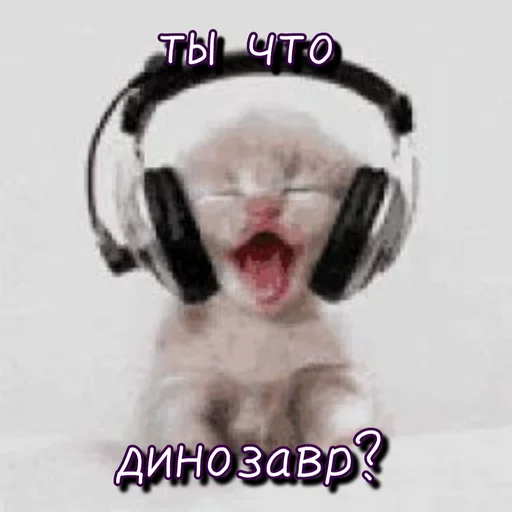 🦖 Стикер «Тю блин Зверюшки» для Telegram