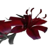 🥀 Эмодзи «Blood Core» для Telegram