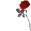 🌹 Эмодзи «Blood Core» для Telegram