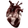 🫀 Эмодзи «Blood Core» для Telegram