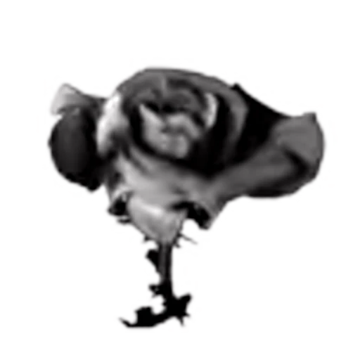 🌺 Эмодзи «blood» для Telegram