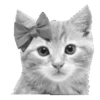 🐾 Эмодзи «blood» для Telegram