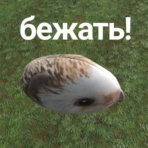 📦 Стикер «БЛОПТОП 3D 3.0» для Telegram