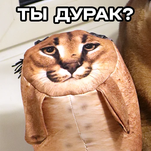 😅 Стикер «БЛОПТОП» для Telegram