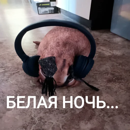 😞 Стикер «Блоптоп 10-летки» для Telegram