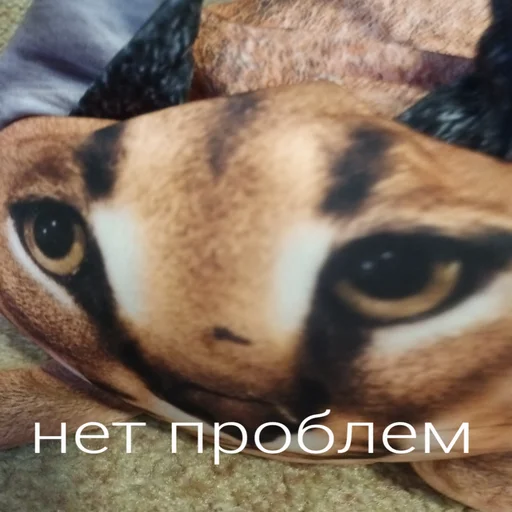 😳 Стикер «Блоптоп 10-летки» для Telegram