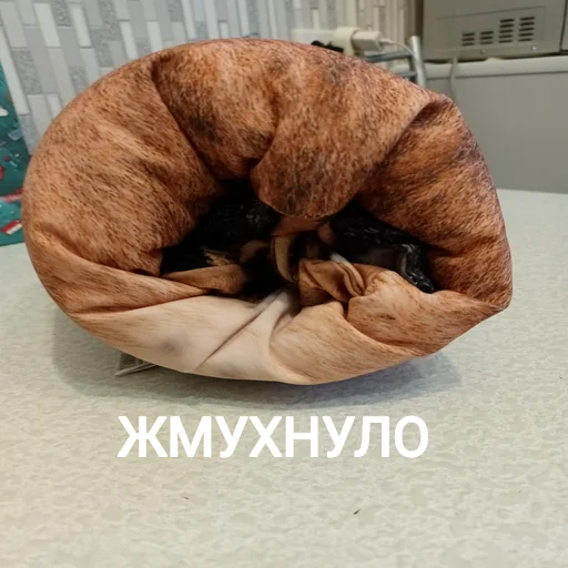 🫠 Стикер «Блоптоп 10-летки» для Telegram