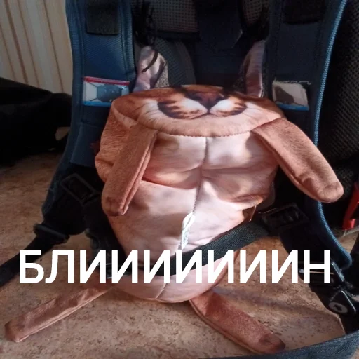 🎒 Стикер «Блоптоп 10-летки» для Telegram