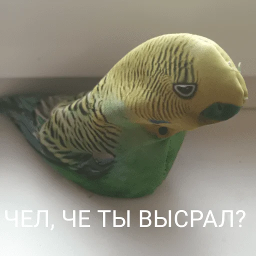😑 Стикер «Блоптоп 10-летки» для Telegram