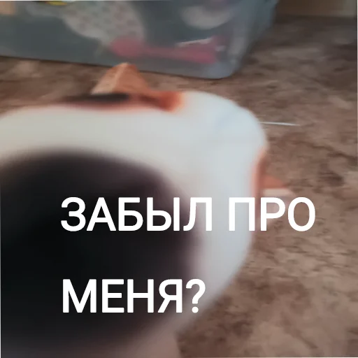 🤨 Стикер «Блоптоп 10-летки» для Telegram