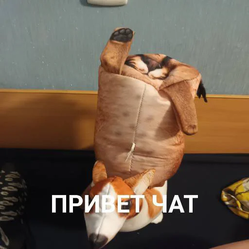 👋 Стикер «Блоптоп 10-летки» для Telegram