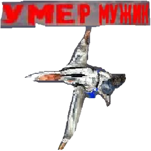 ✈ Стикер «bltalker» для Telegram