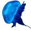 🪼 Эмодзи «blu.. blue ?» для Telegram