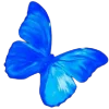 🦋 Эмодзи «blu.. blue ?» для Telegram