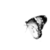 Стикер 60 𝒉𝑦𝑛𝑑𝑟𝑎𝑔𝑒𝑎𝑒𝑛