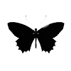 Стикер 26 𝒉𝑦𝑛𝑑𝑟𝑎𝑔𝑒𝑎𝑒𝑛