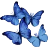 🦋 Эмодзи «navy&blue» для Telegram