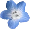 🌸 Эмодзи «navy&blue» для Telegram