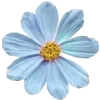 🌸 Эмодзи «navy&blue» для Telegram